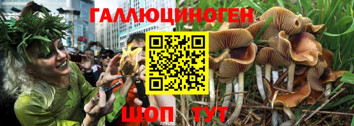 Галлюциногенные грибы Psilocybine cubensis  продажа наркотиков  Апатиты  Вход с VPN 