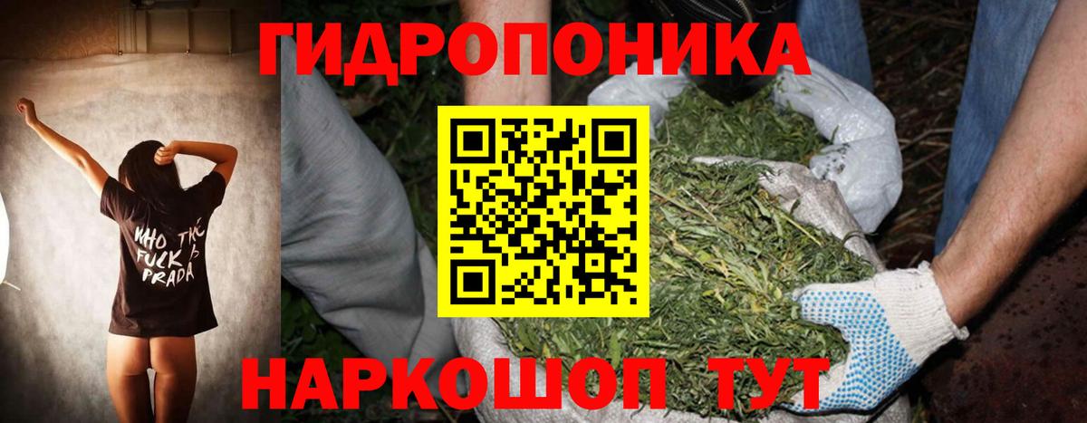 Канабис MAZAR  Вход с VPN  Бошки марихуана SATIVA & INDICA  Апатиты 